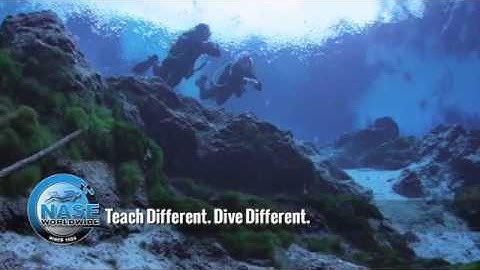 Training Video Footage Exemplifies NASE Core Philosophies