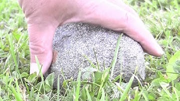 Why Does God Allow Evil - PART 2