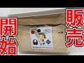 【これは簡単】クワガタムシを産卵させるためのお手軽キットがヤバい