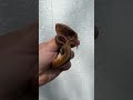 Pinstripe Piebald Ball Python