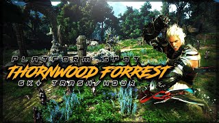 BDO - Striker Awakening 275 - ThornWood Forest - 6+ k trash/hour