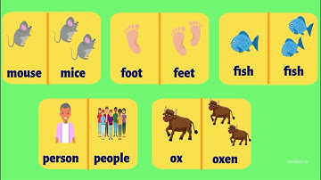 Irregular Plural Nouns | Grammar with examples | Learn English for Kids
