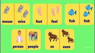 Irregular Plural Nouns | Grammar with examples | Learn English for Kids