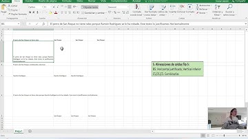 Vídeo 2 Excel Básico Ejercicio 1 Alineación de Texto
