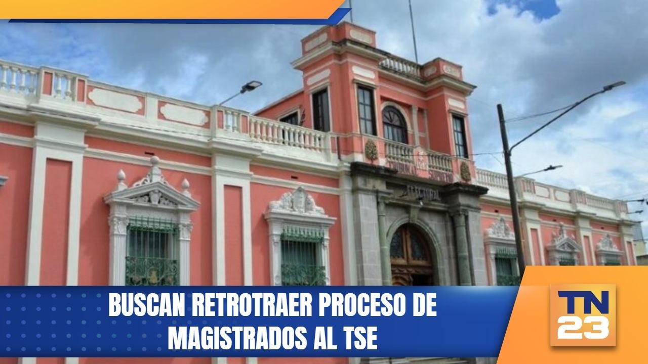 Buscan retrotraer proceso de magistrados al TSE