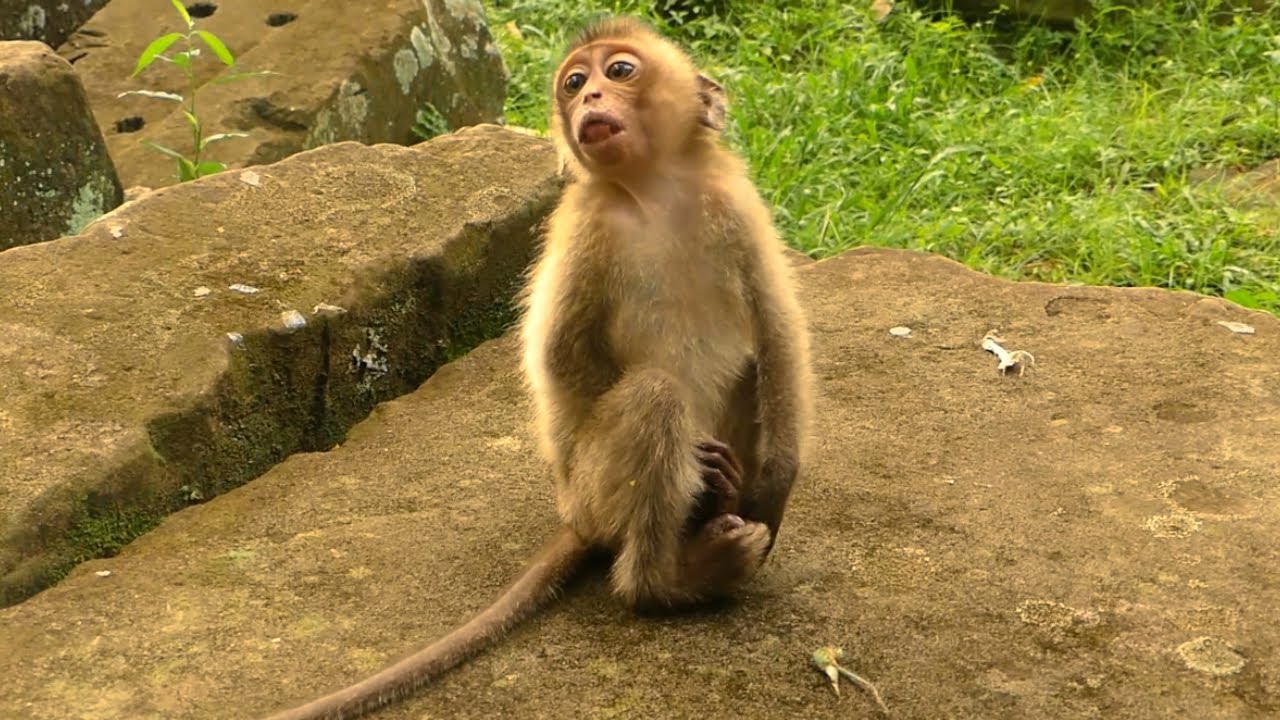 abandoned Klay didn't stop move make he went to meet Tom And Happen next !!