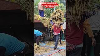 In just minutes, harvesting becomes faster 😱#youtubeshorts #farming #machine #combineharvester