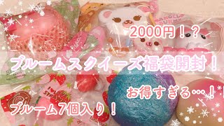 ブルームスクイーズ福袋2000円！開封！squishy haul！