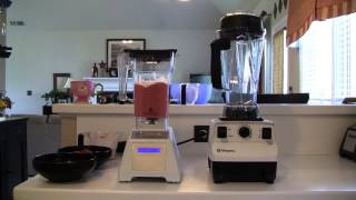 Vitamix vs Blendtec- Epic Ice Cream Test!