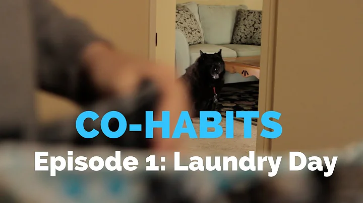 Co-Habits Episode 1: Laundry Day