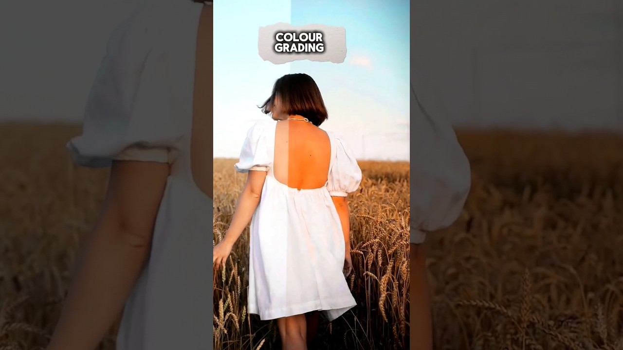 My colour grading skills and Adobe Pro Effects