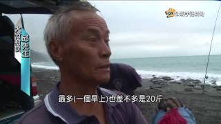 20170525 公視手語新聞 大武溪流出海口 居民捕撈日本禿頭鯊魚苗