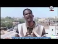 محمد عبدالمنعم جلواك