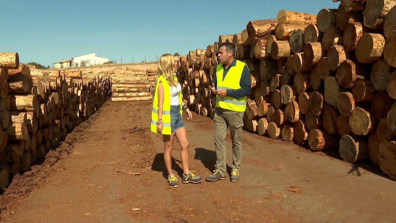 T14/E12: Burpellet, Puertas Norma e Industrias JL Blanco