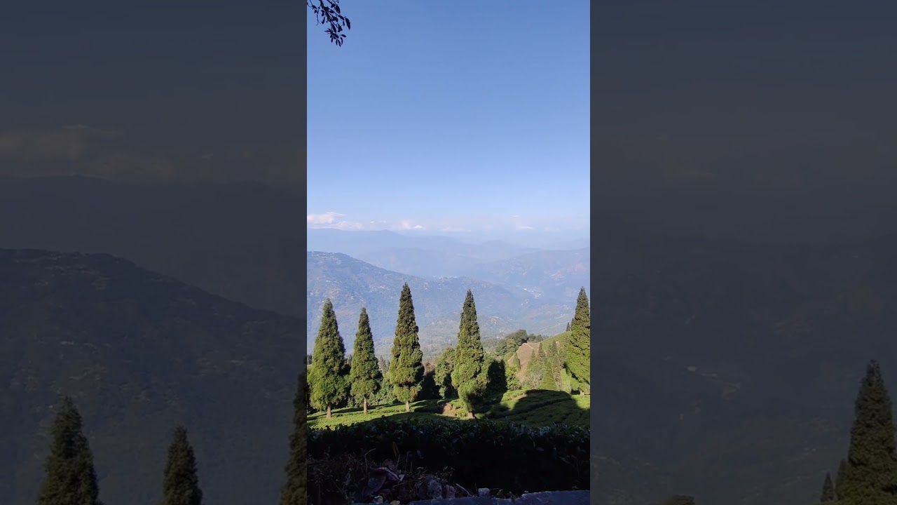 Darjeeling is a dream destination for nature lovers. #travel  #travelvideo  #darjeeling