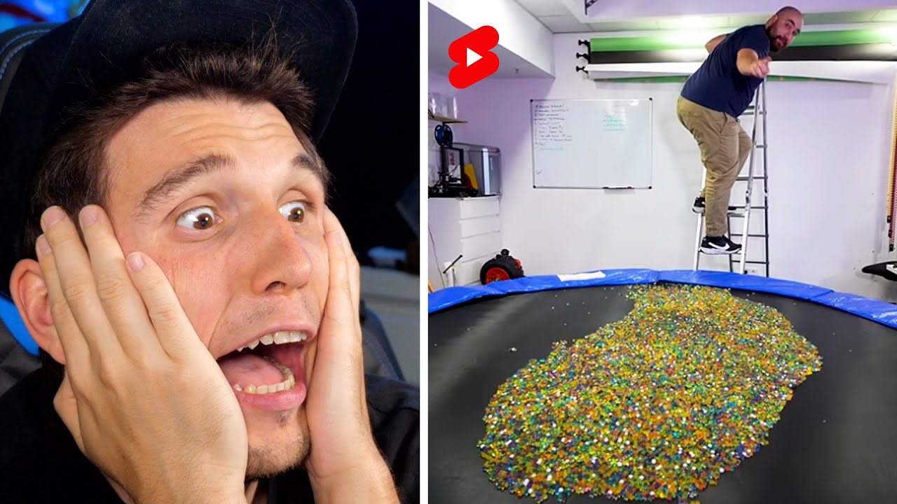 Paluten guckt Shorts 350.0