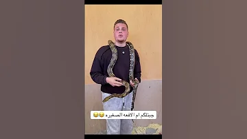 القارئ احمد رضا السمالوسي 