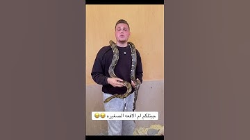 القارئ احمد رضا السمالوسي 🥺