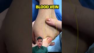 vein valve #vainvalve #bloodvessels #valve