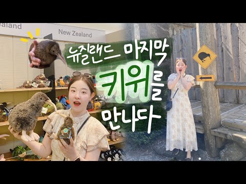 사실 이 모든 여정은 너를 만나기 위해.. 🥝 뉴질랜드 여행 마지막편