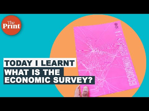 What is the Economic Survey?