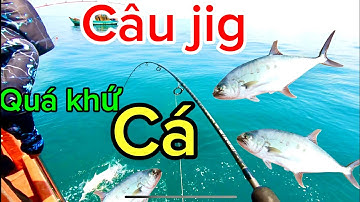 Câu cá biển tập 8- câu jigging vô bầy bè trang kéo đấm đuối@giangngofising