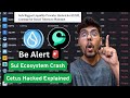 Sui Coins 90% Crash -Cetus Hacked Explained