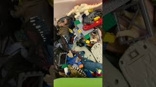 Im A Collector For 14 Years. Deal With It