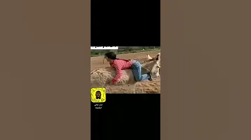 اركب الحنطور واتحنطر 