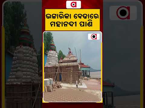 ଭଟାରିକା ବେଢାରେ ମହାନଦୀ ପାଣି | Bhattarika Temple Flood | Mahanadi Water Level | Argus News