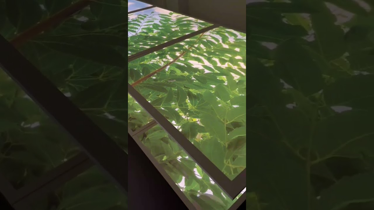 Natural light 24Inch Zigbee Bluetooth Tuya APP Control Artificial Sunlight Sky Ceiling Panel Light