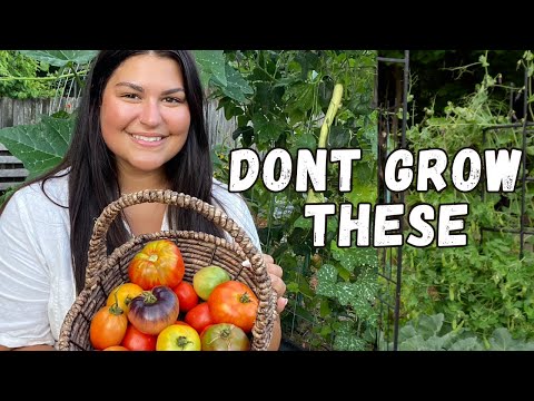 I'll never grow these tomatoes again | my new tomato strategy