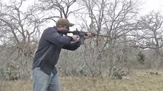 HIGH STANDARD AR-15 (lil look)