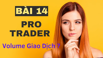 Để Trở Thành Pro Trader Bài 14: Volume Giao Dịch Là Gì? Hướng Dẫn Chi Tiết Sử Dụng Công Cụ Volume