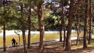 Одесса. Парк Победы. ГОЛОПОМ ПО ОДЕССЕ.(Одесса живёт своей жизнью! В этот день в парке прошёл праздник Клубники, но на него, к сожалению, я не успел...., 2016-05-23T17:16:44.000Z)
