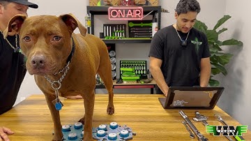 Tool Tuesday By VIM Tools: Episode 34: Mystery box winner announced!