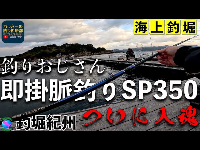 海上釣堀】釣りおじさん即掛 脈釣りSP350を即掛けせず、じっくり喰わせ