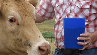 Details Ash Grove, Mo., cattle producer reacts to Trump’s beef waiver plan Update