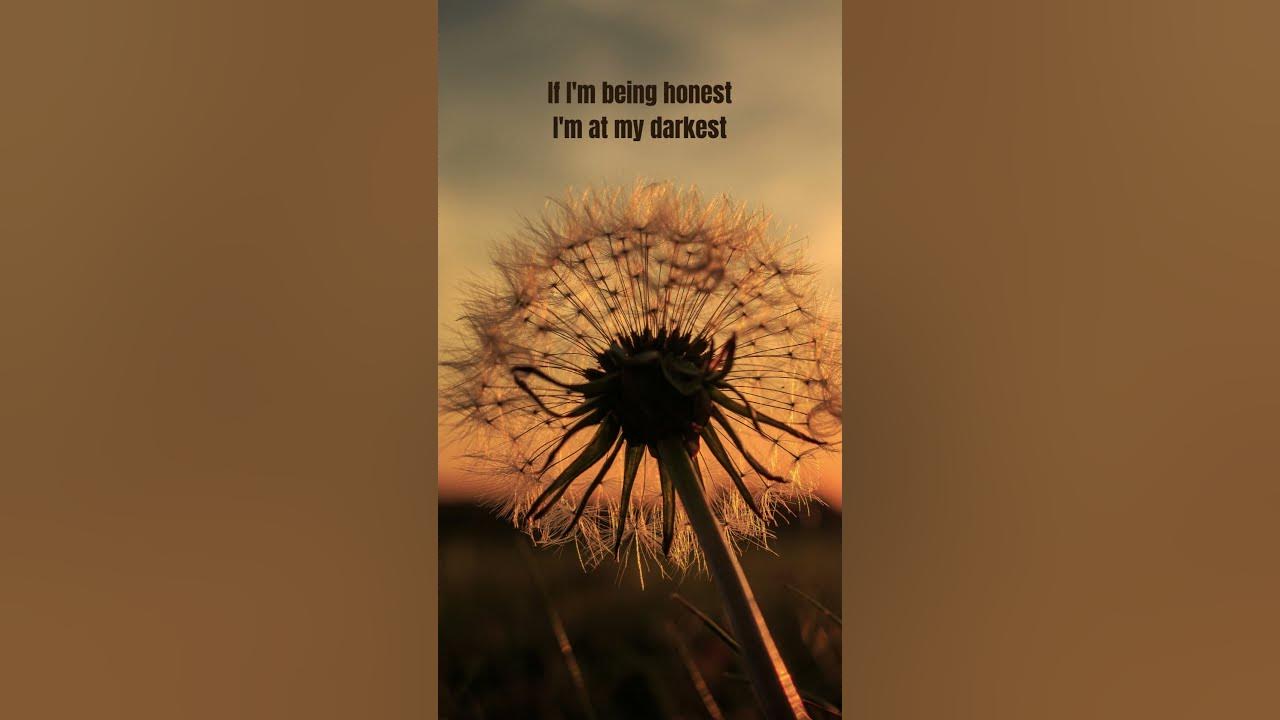 Honest (Lyrics) - Song House, Kyndal Inskeep