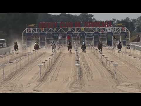 Vídeo: GP Garanhões Nacionais