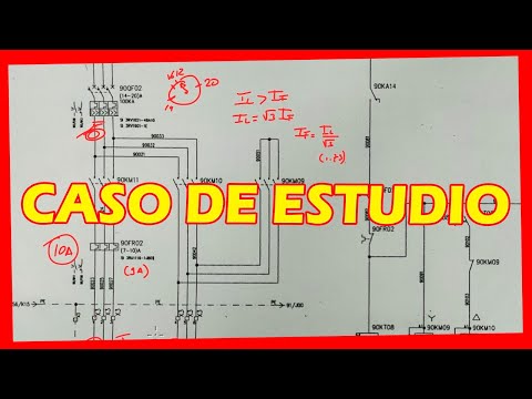 Vídeo: Quin tipus d'especialista és un sociòleg? Professió de sociòleg. Sociòlegs famosos