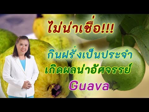 ไม่น่าเชื่อ !! กินฝรั่งเป็นประจำ เกิดผลน่าอัศจรรย์ | Guava | พี่ปลา Healthy Fish