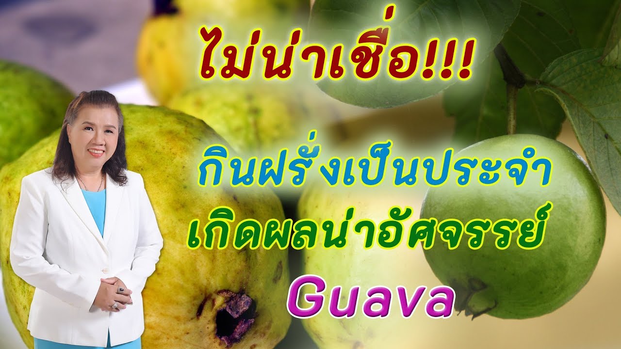 ไม่น่าเชื่อ !! กินฝรั่งเป็นประจำ เกิดผลน่าอัศจรรย์ | Guava | พี่ปลา Healthy  Fish - Youtube