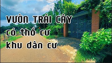 cần tiền chữa bệnh ! chị hạnh xót xa rao bán vườn trái cây đã cho thu hoạch ở bà rịa vũng tàu