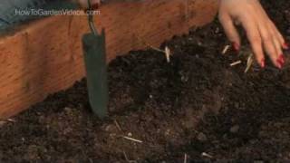 How to Plant Cucumber Seeds