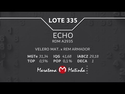 LOTE 335 Maratona Matinha