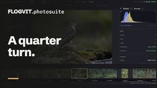 Turn a picture a quarter with one key | FLOGVIT.photosuite