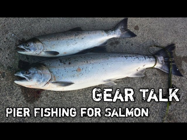 Gear Talk  Pier fishing Salmon in Puget Sound 