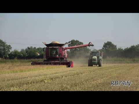 2017 RICE HARVEST - CASE IH 8240 Axial-Flow RICE on Rubber Tracks VariCut 3050-22