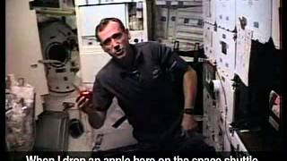 Why Do Astronauts Float in Space? Profile